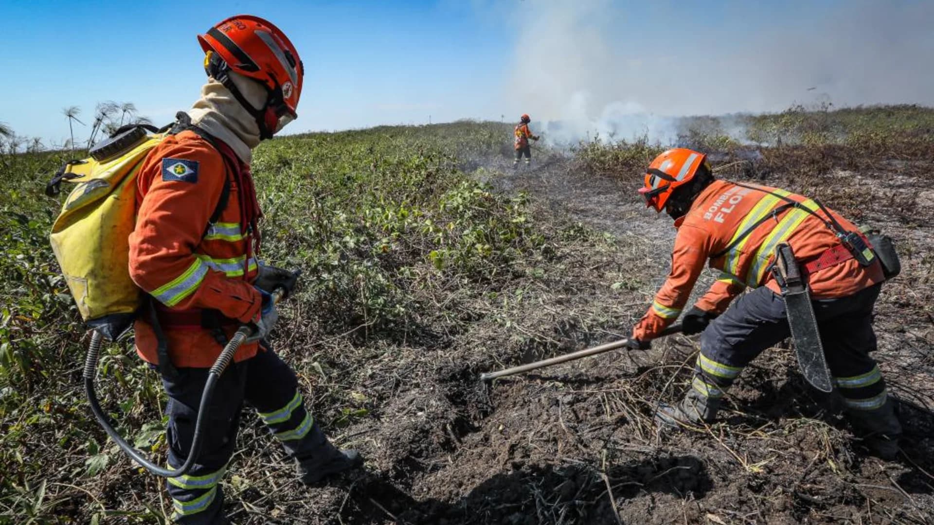 Processo seletivo abre 150 vagas para brigadistas no Mato Grosso