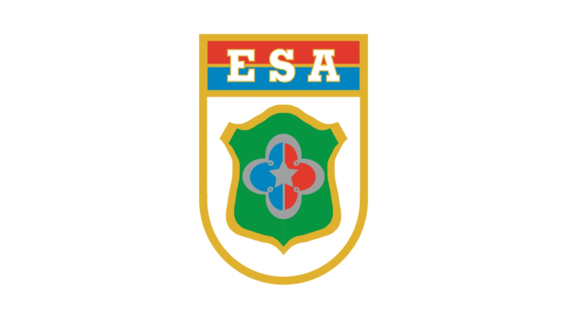 ESA - Curso Para Escola de Sargentos das Armas: Teoria + Questões