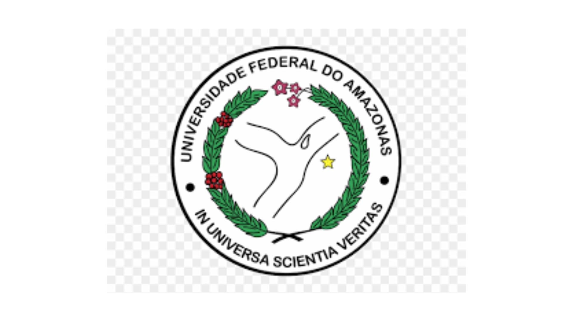 UFAM - Assistente de Aluno Universidade Federal do Amazonas