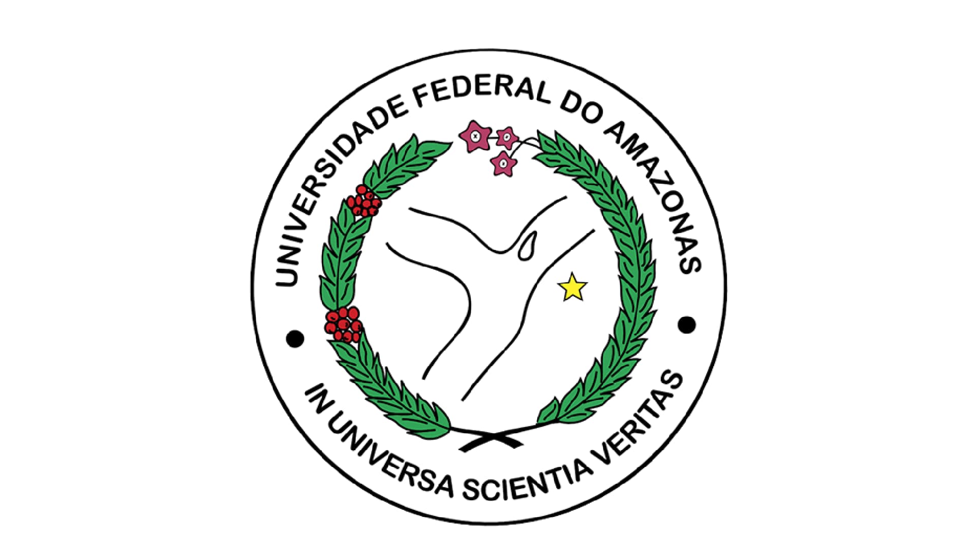 UFAM - Técnico de Laboratório/Área: Informática