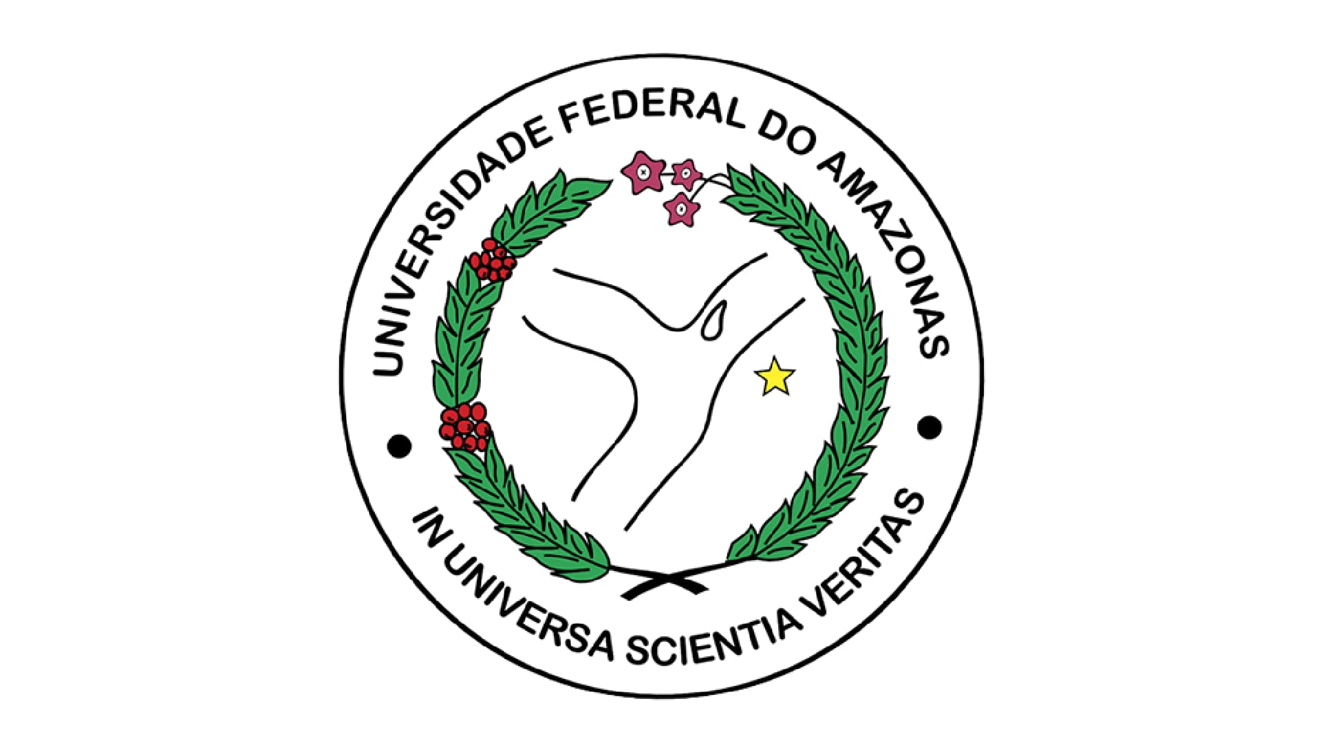 UFAM - Técnico de Laboratório/Área: Cartografia