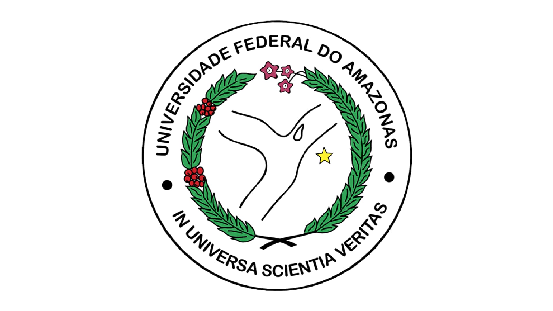 UFAM - Técnico em Contabilidade