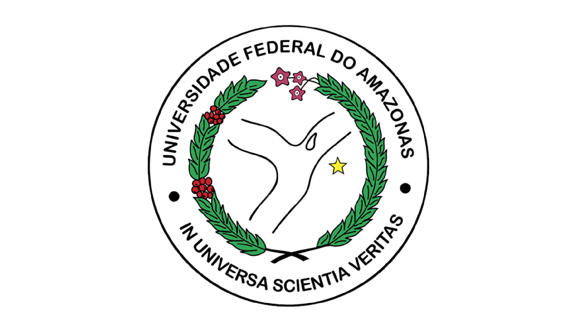 UFAM - Universidade Federal do Amazonas - Técnico de Laboratório/ Área: Física